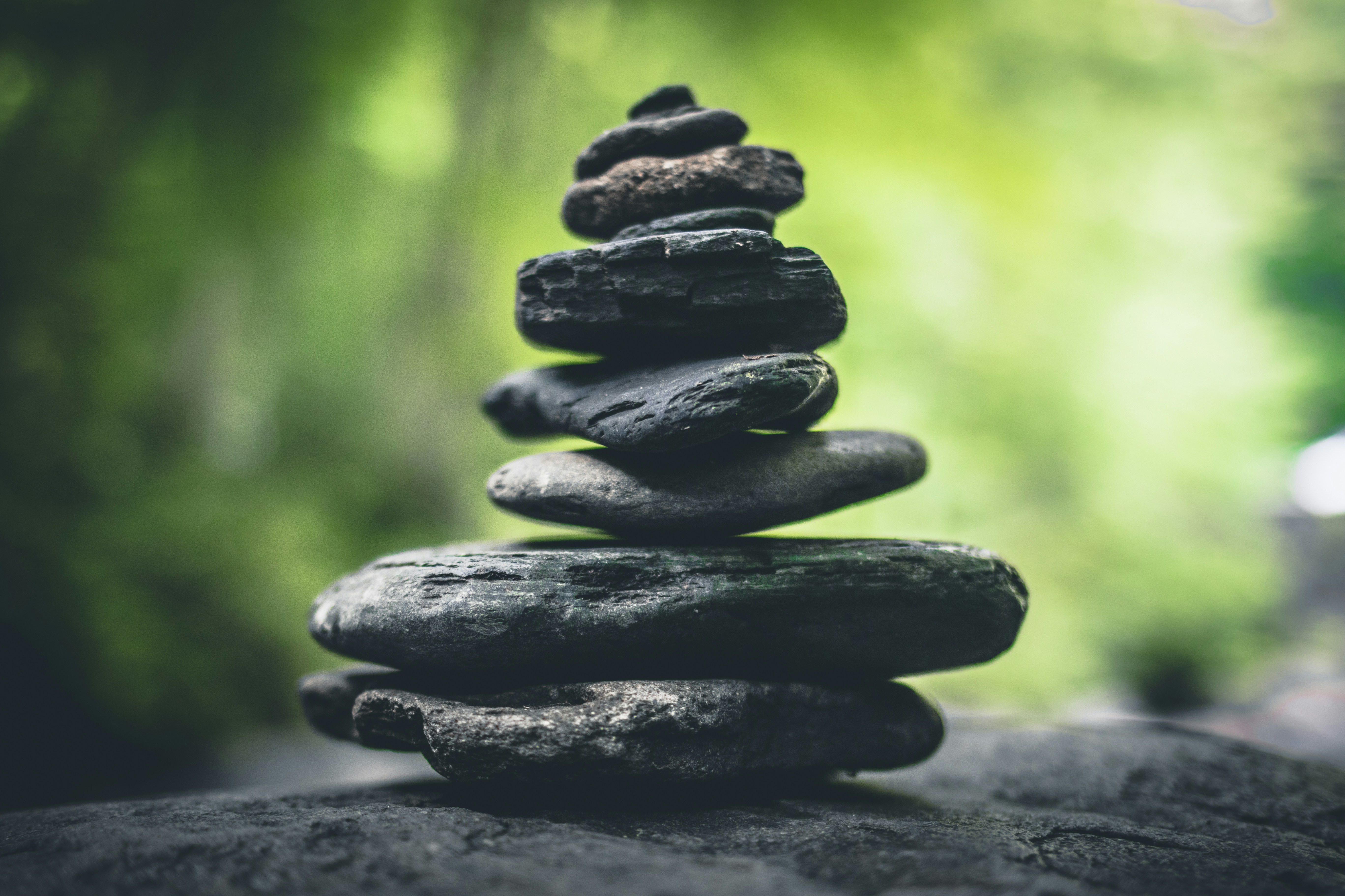 Equilibrio y bienestar integral