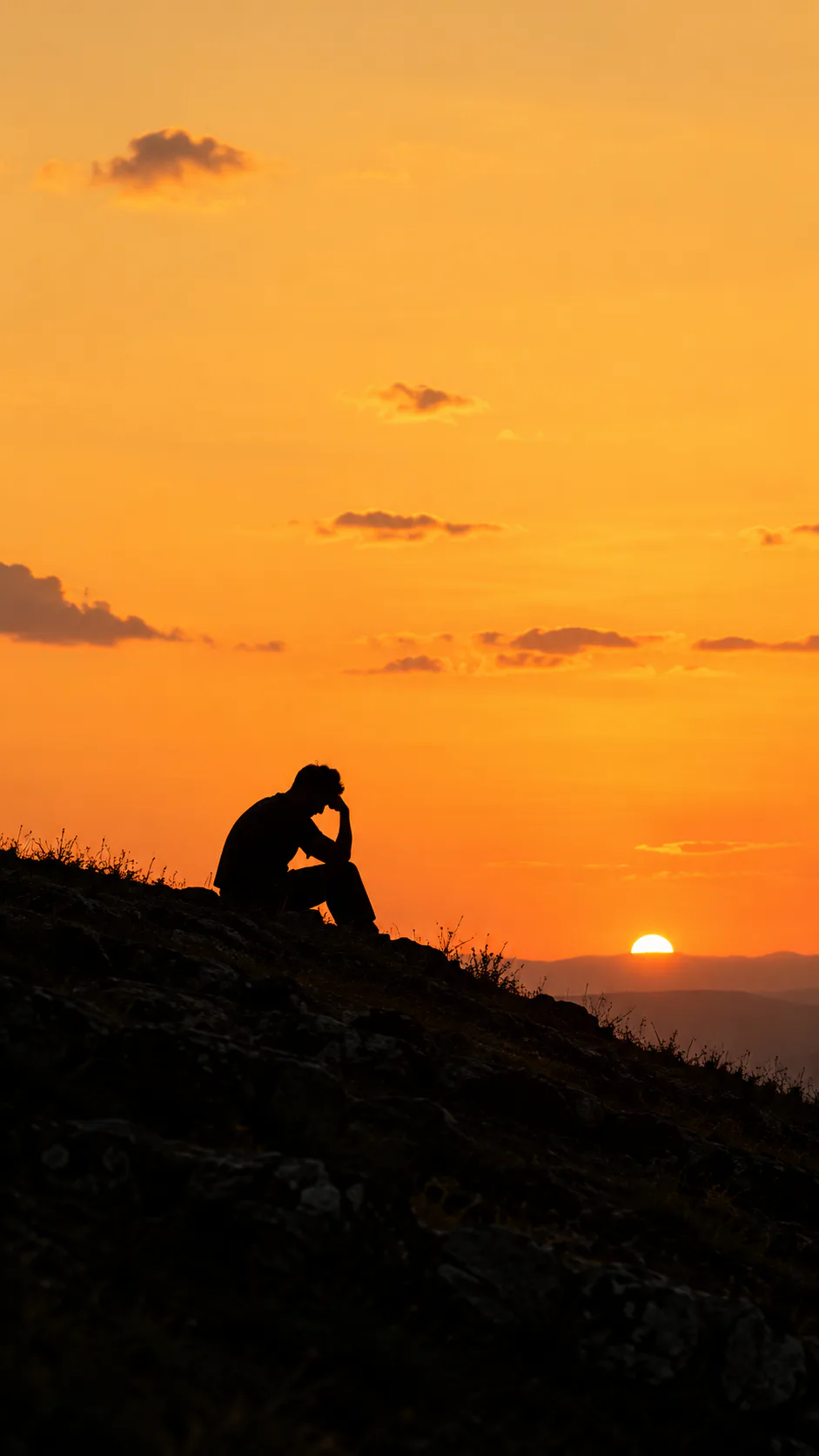 Persona contemplando el atardecer en un momento de reflexión